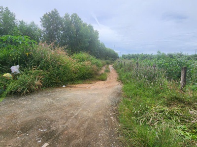 Bán 9973m2 giáp hồ núi đất - tân tiến - lagi giá ngộp 1.5 tỷ sổ riêng 4