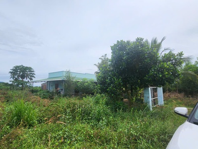 Bán 9973m2 giáp hồ núi đất - tân tiến - lagi giá ngộp 1.5 tỷ sổ riêng 0