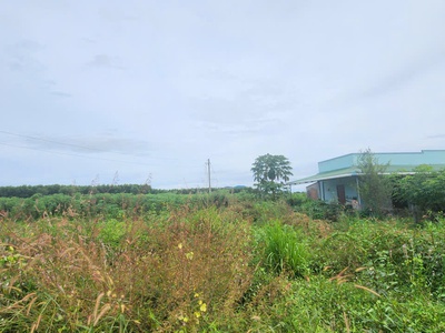 Bán 9973m2 giáp hồ núi đất - tân tiến - lagi giá ngộp 1.5 tỷ sổ riêng 2