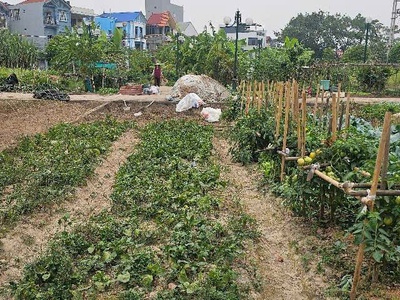 Bán đất đấu giá hội phụ- phân lô- vỉa hè- oto tránh - hàng xóm vinhome cổ loa- 80m nhỉnh 12 tỷ tl 1