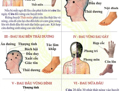 Đào Tạo Xoa Bóp Bấm Huyệt - Massage Trị Liệu 0