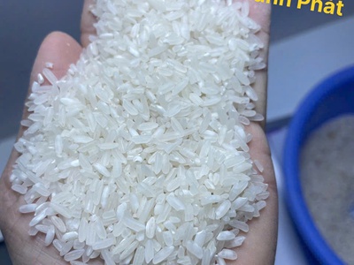 Gạo Sóc Dẻo - Gạo từ thiện - Gạo số lượng lớn 0