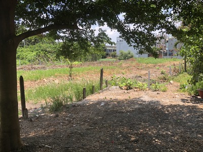 Cơ hội đầu tư cực hiếm 1736m2 đất- mt võ văn bích củ chi dòng tiền sẵn chỉ 32 tỷ 2