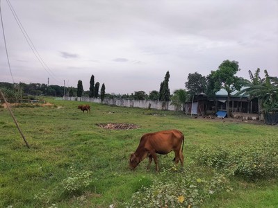 Cơ hội đầu tư cực hiếm 1736m2 đất- mt võ văn bích củ chi dòng tiền sẵn chỉ 32 tỷ 1