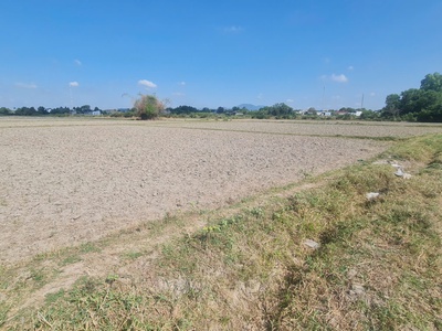 Bán 20m x 39m đất odt hẻm đinh bộ lĩnh - phước hội - lagi 1.05 tỷ chính chủ 2