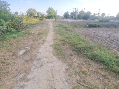 Bán 20m x 39m đất odt hẻm đinh bộ lĩnh - phước hội - lagi 1.05 tỷ chính chủ 3