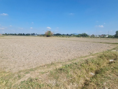 Bán 20m x 39m đất odt hẻm đinh bộ lĩnh - phước hội - lagi 1.05 tỷ chính chủ 4