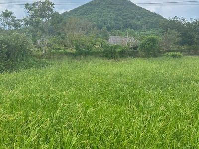 Bán 912m2 dất 2 mặt đường nguyễn minh châu - tân hải - lagi giá ngộp 900tr 3