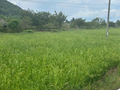 Bán 912m2 dất 2 mặt đường nguyễn minh châu - tân hải - lagi giá ngộp 900tr 1