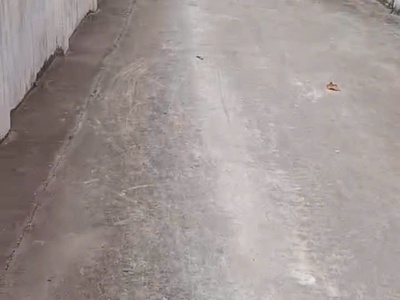 Hot hot - cần bán 2 lô đất đẹp tại xóm long xuân, xã bạch long, giao thủy, nam định 2