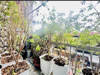 Bán nhà đẹp, mặt tiền chợ đường hoàng minh đạo p5, q8 - giá chỉ 10,6 tỷ 4