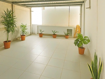 Nhà mặt tiền cộng hòa - quận tân bình - 3.6 x 29 m vuông vức - 20.5 tỷ 2