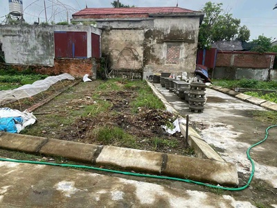 Bán đất sổ đỏ lô góc đường 5m tại câu thượng, quang hưng, an lão, hải phòng 0