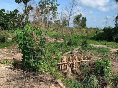 Bán đất chính chủ đường tây kênh 500, thị trấn mỹ phước, tân phước, tiền giang 1