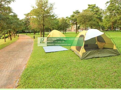 Dịch Vụ Trồng Cỏ Lá Gừng Công Trình DPL 1