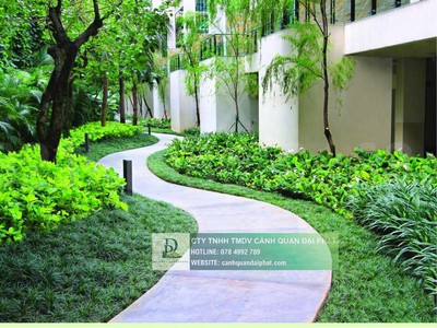 Dịch Vụ Trồng Cỏ Lá Gừng Công Trình DPL 2