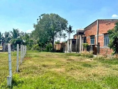 Lô đất nhà vườn hơn 200m2 - sẵn sổ 1