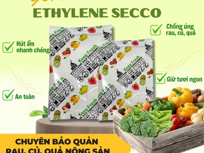 Gói Hút Khí Ethylene Bảo quản rau củ quả nông sản xuất khẩu 0