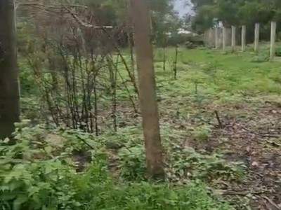 Chính chủ bán 1167,3m2 đất tại xã nghĩa thuận, huyện tư nghĩa, tỉnh quảng ngãi. 2