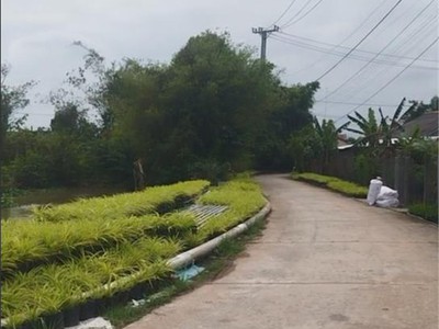 Đất mặt tiền 100m2 5x20m p.sa đéc, đồng tháp. hướng đông, giá chỉ 600 triệu 0