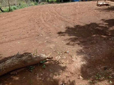 Bán đất 250m2 100m2đất ở 580tr ở thành phố pleiku- gia lai 1