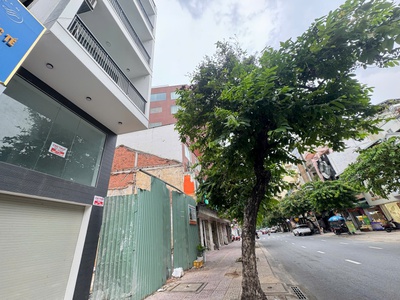 Bán siêu phẩm gpxd 1 hầm 8 tầng - mặt tiền kinh doanh đ. nguyễn đình chiểu, q.3 - 8m 24m 0