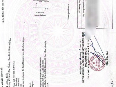 Duy nhất lô đất sạch gần chợ trục chính nguyễn diệu, ecohome nhơn bình- tp quy nhơn 2