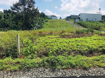 Đất đẹp giá tốt - cần bán nhanh đất đẹp sổ hồng full thổ cư xã lộc an, bảo lâm, lâm đồng 2