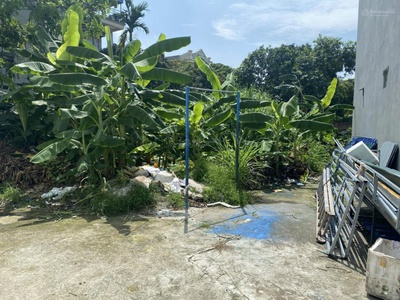 Chính chủ bán đất tại ngõ triệu quang phục, thành phố hải dương 3