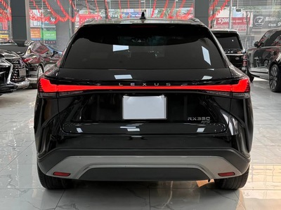 Bán lexus RX350 Luxury sản xuất 2023, 1 chủ chạy ít cực mới. 4