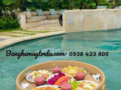 Khay nổi hồ bơi nhựa giả mây 2