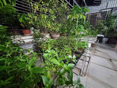 Hộ khẩu phố cổ-Biệt thự 6 tầng-Thang Máy chạy vù vù-Oto-42m2-Công chứng ở luôn 0