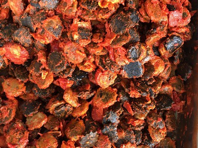 Máy chà quả tách hạt, máy chà dịch nhàu, máy chà dịch chanh dây, máy chà dịch me 3