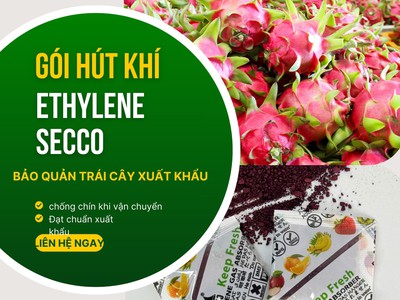 Chống Chín Sớm, Giữ tươi lâu cho nông sản, trái cây với gói hút khí Ethylene Secco 5gram 0