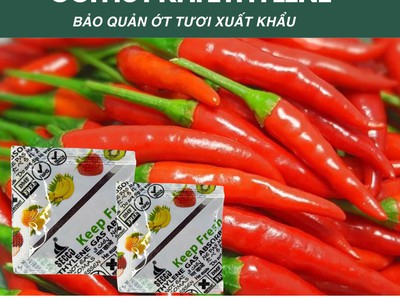 Chống Chín Sớm, Giữ tươi lâu cho nông sản, trái cây với gói hút khí Ethylene Secco 5gram 1