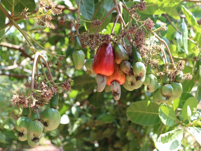  Muốn Mua Đất Bám Suối   View Hồ Trị An   Có Sẵn Nhà Ở  Lô Này Đẹp Tới Mức Không Cần Sửa 1