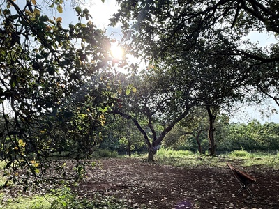  Muốn Mua Đất Bám Suối   View Hồ Trị An   Có Sẵn Nhà Ở  Lô Này Đẹp Tới Mức Không Cần Sửa 5