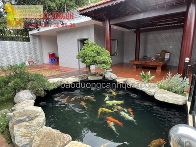 Những dấu hiệu hồ cá koi cần vệ sinh ngay 0