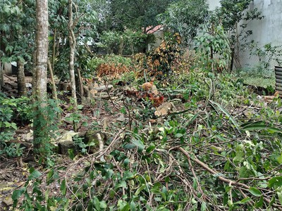 đất đẹp kiệt ô tô hòa thọ tây 111,5m giá chỉ 2,68 tỷ 2