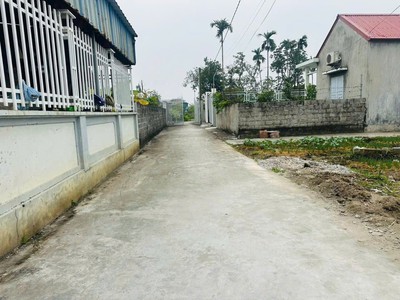 Lô 154m giá rẻ hiếm ngang 5m ngõ ô tô 3m tại kim đới 3, hữu bằng zalo 0567 222 555 1