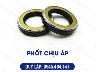 Phốt ben thuỷ lực Duy Lập 6