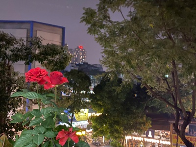 Không thể bỏ lỡ chung cư trung hoà căn góc 78m2, 2 ngủ, sđcc 7.2 tỷ 0