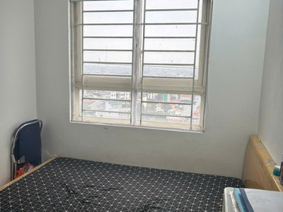 Căn hộ sổ thương mại dt 36.5m2 ecohome1 cây xanh-sân chơi-trường học đầy đủ. giá 2.75 tỷ 3