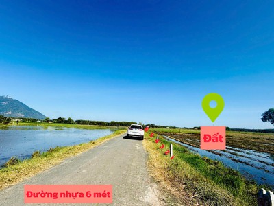 Mặt tiền đường nhựa view trực diện núi bà đen full thổ cư 140m2 sẵn sổ ra thị trấn dmc chỉ vài phút 2