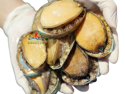 Gợi Ý Món Ngon Với Bào Ngư Cho Mâm Tiệc Sang Trọng 0