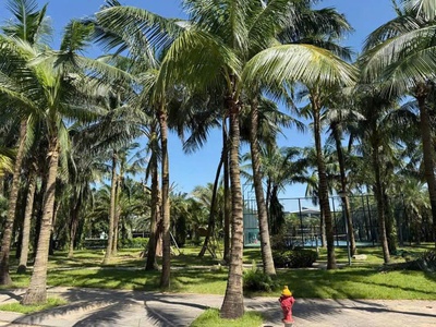 Cần bán nhanh lô đất 150m  thuộc khu đô thị Ecorivers   một trong những khu đáng sống bậc nhất 0