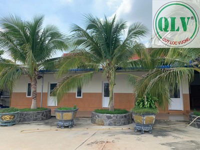 Bán xưởng sản xuất Nông Sản 11.879m2 Hàm Tân Bình Thuận 1