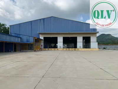 Bán xưởng sản xuất Nông Sản 11.879m2 Hàm Tân Bình Thuận 2