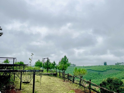 Nợ Ngân Hàng Cần Bán Nhanh Đất Bảo Lộc Giá Từ 1 Tỷ 3