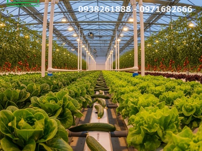 Nuôi tôm trong nhà kính - xu hướng làm giàu mới cho bà con nông dân 0